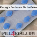 Kamagra Seulement De La Gelée 21